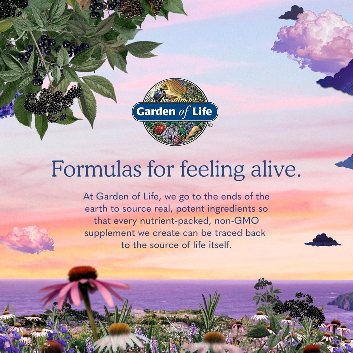 Garden of Life Women's Probiotics 50 Billion CFU 30 Capsules (3 Pack)