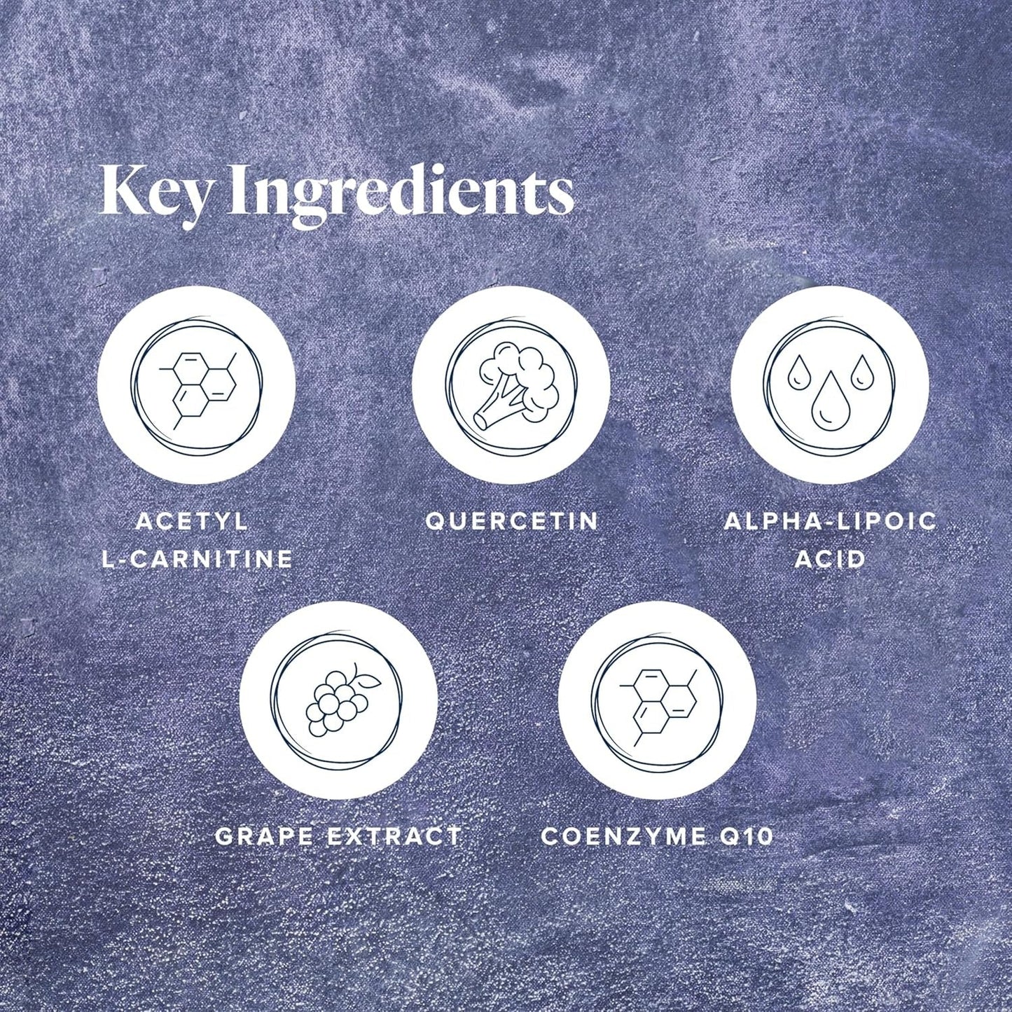 LifeVantage Protandim NRF1 Synergizer 60 Capsules
